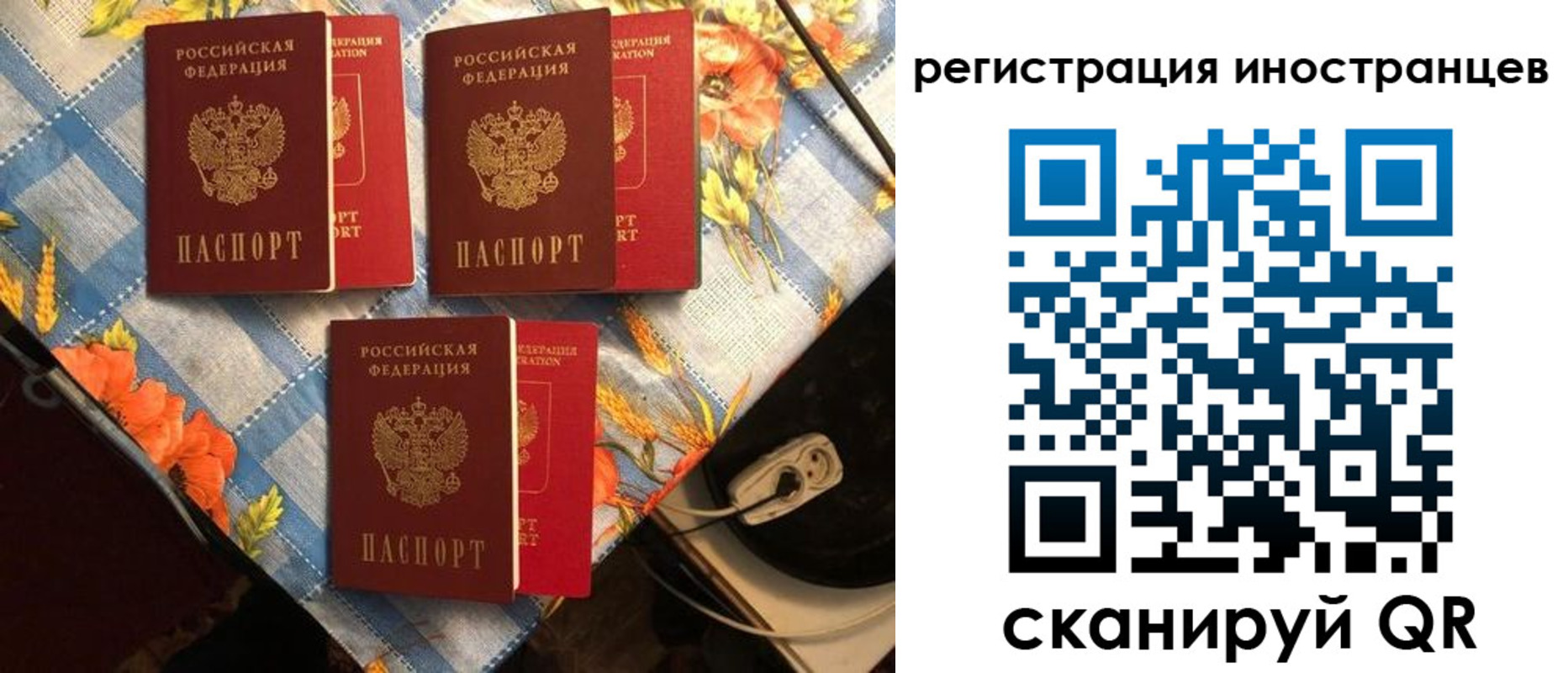 прописка поиск в Чите